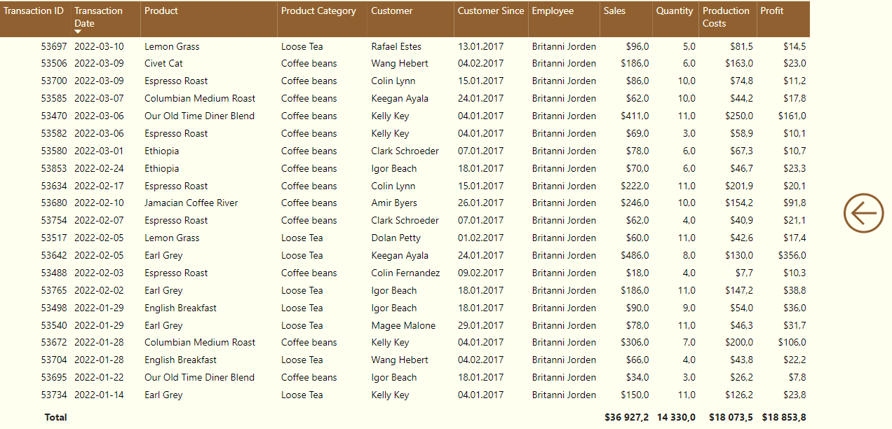 A transaction table in Powr BI when using drill trhough, Power BI, AI, BI, business intelligence, visual analytics, advanced analytics, visual reporting, powerbi